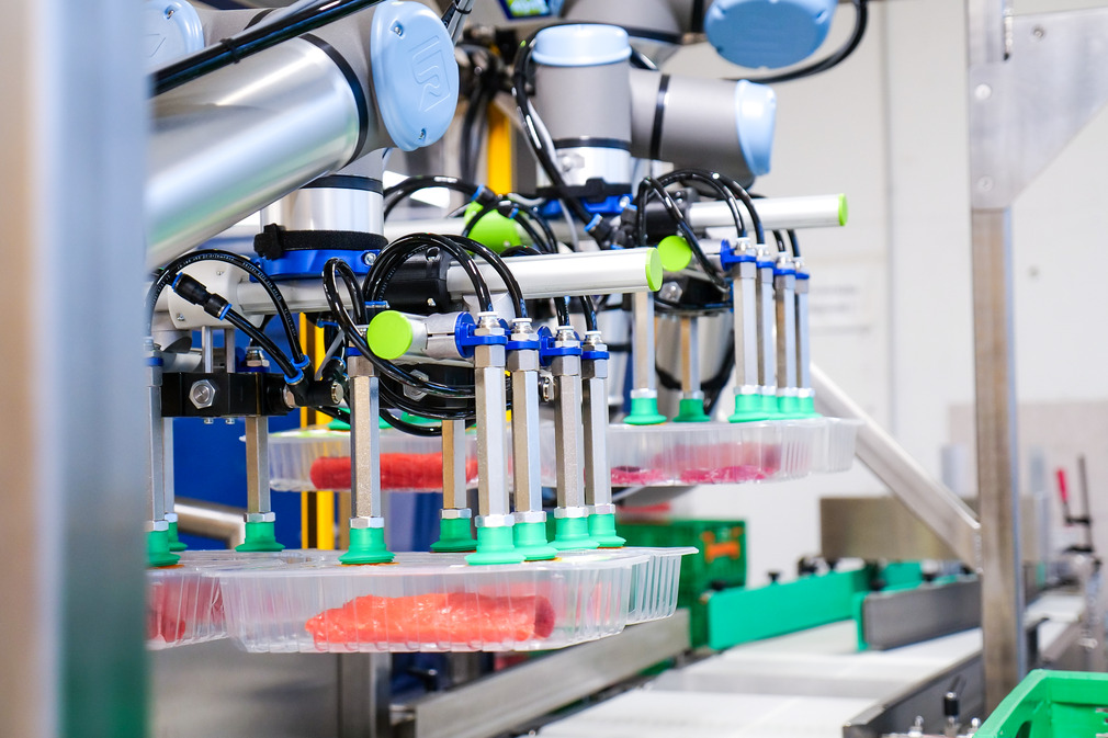 The automatic gripper solution achieves 96 picks per minute – significantly increasing the meat processor's output compared to manual work.